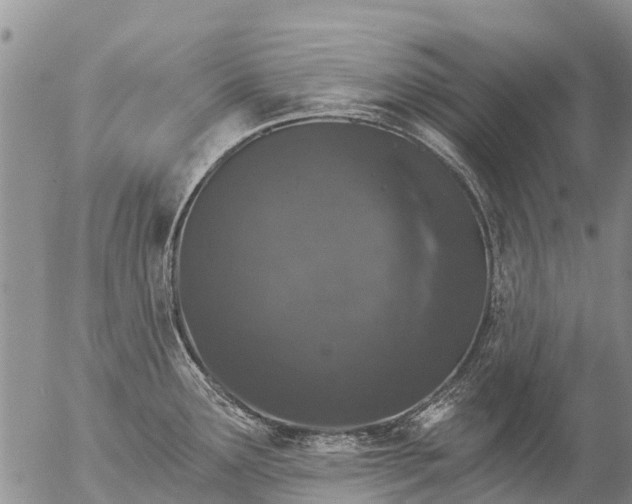 X0000057091291200509161620