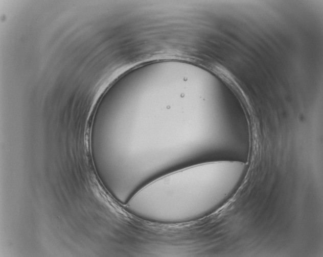 X0000057091292200509161620