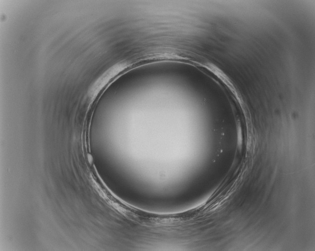 X0000057091293200509161620