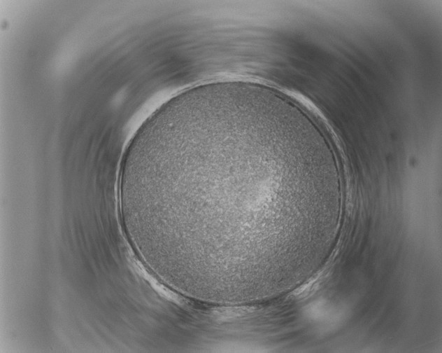 X0000057091294200509161620