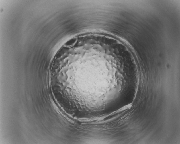 X0000057091295200509161620