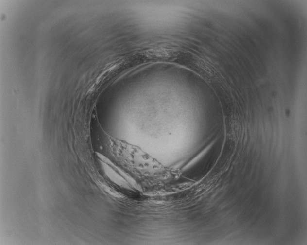 X0000057091297200509161619