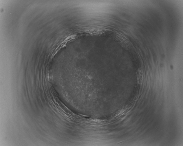 X0000057091298200509161619