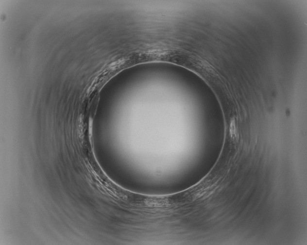 X0000057091299200509161619