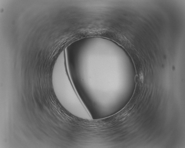 X0000057091300200509161619