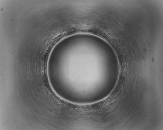 X0000057091301200509161619