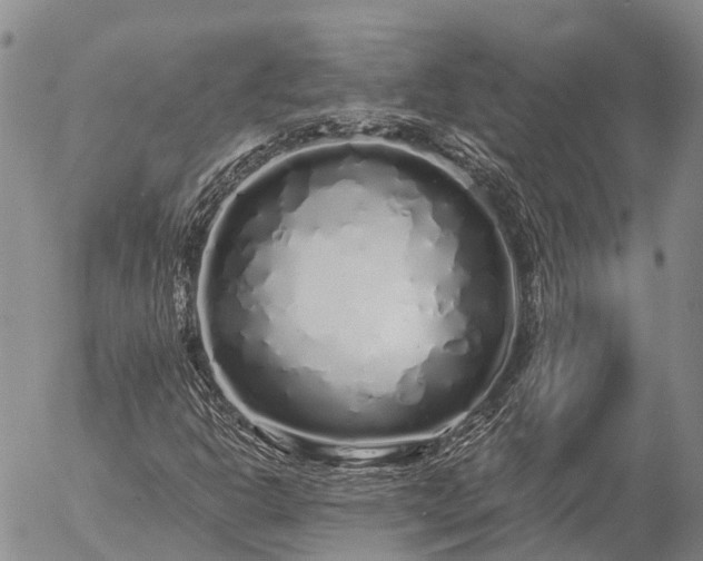 X0000057091302200509161619