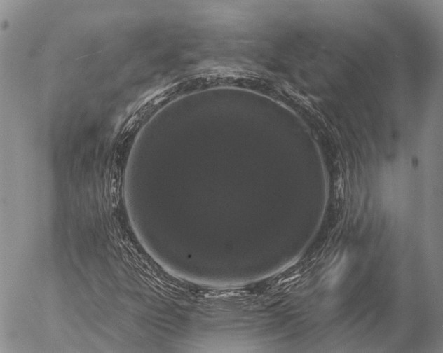 X0000057091303200509161619