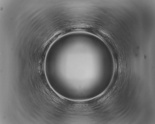 X0000057091305200509161619