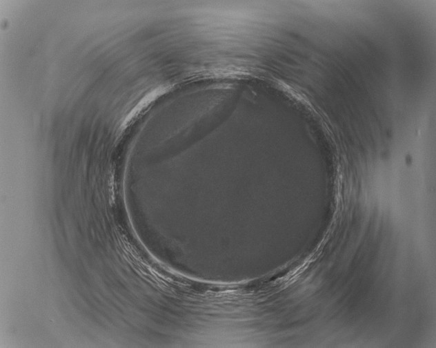 X0000057091306200509161619