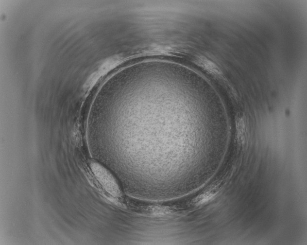 X0000057091308200509161619