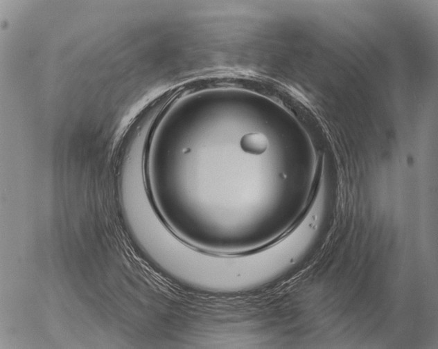 X0000057091310200509161619