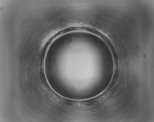 X0000057091311200509161619