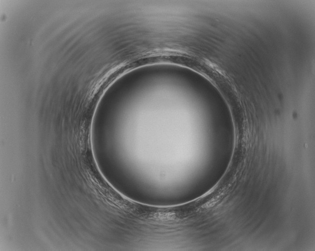 X0000057091313200509161619