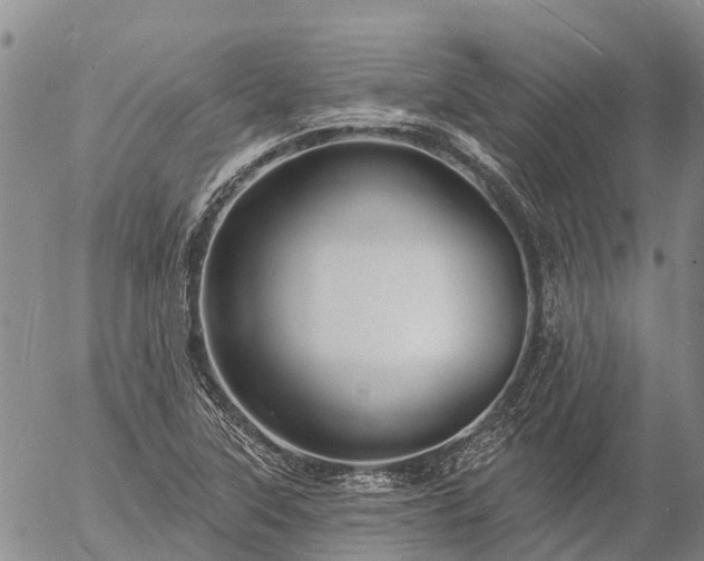 X0000057091315200509161619