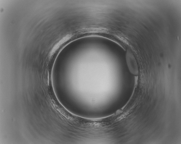 X0000057091317200509161619