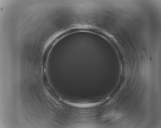 X0000057091319200509161619