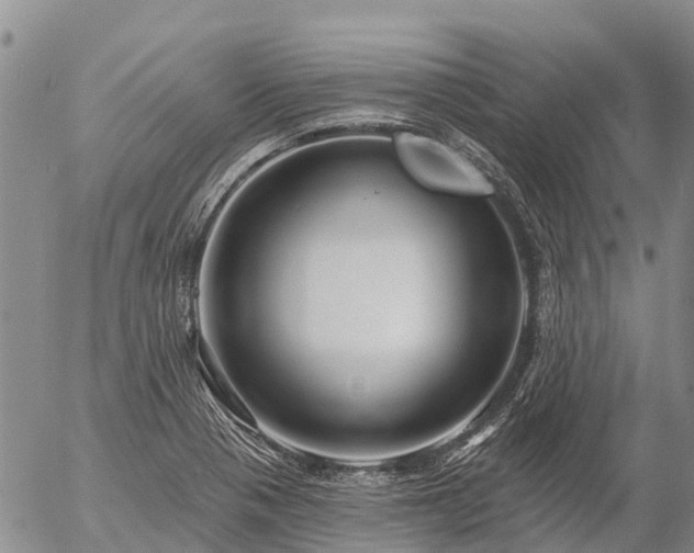 X0000057091321200509161619