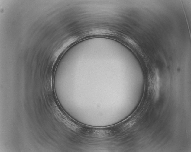 X0000057091322200509161619