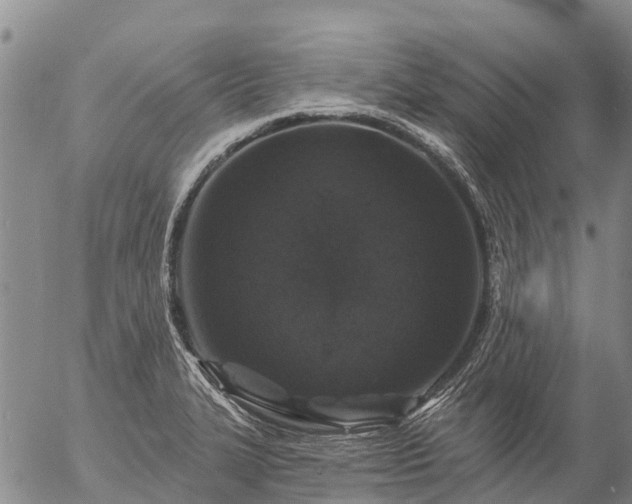 X0000057091327200509161619