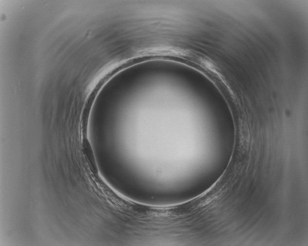 X0000057091328200509161619