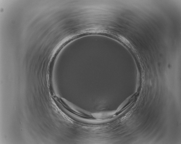 X0000057091334200509161619