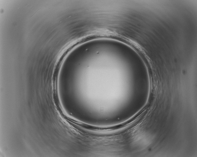 X0000057091335200509161619