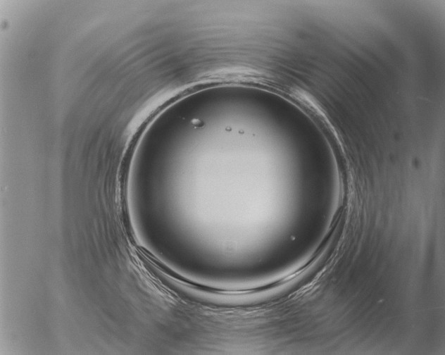 X0000057091336200509161619