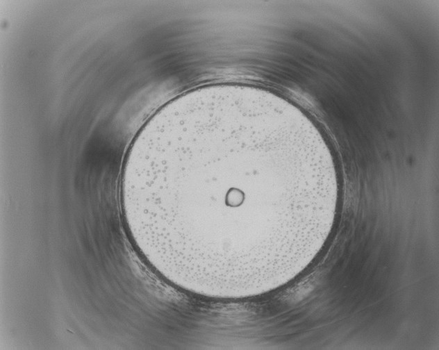 X0000057091338200509161620