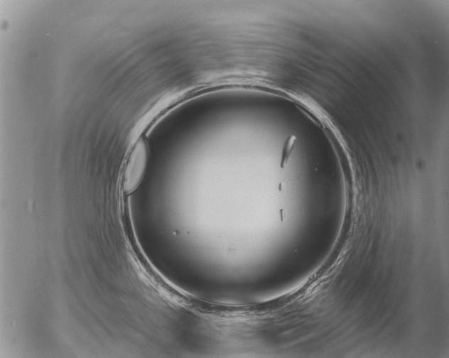 X0000057091341200509161620