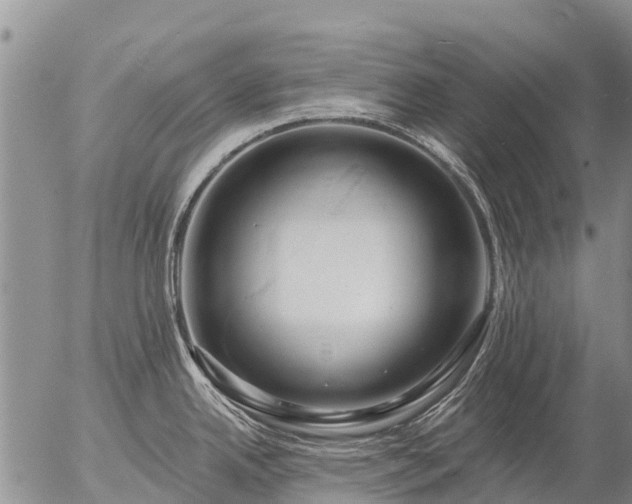 X0000057091342200509161620