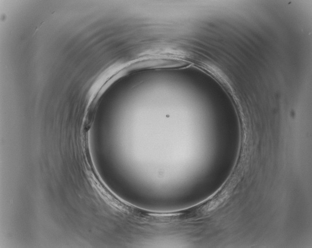 X0000057091344200509161620