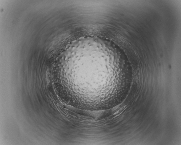 X0000057091346200509161619