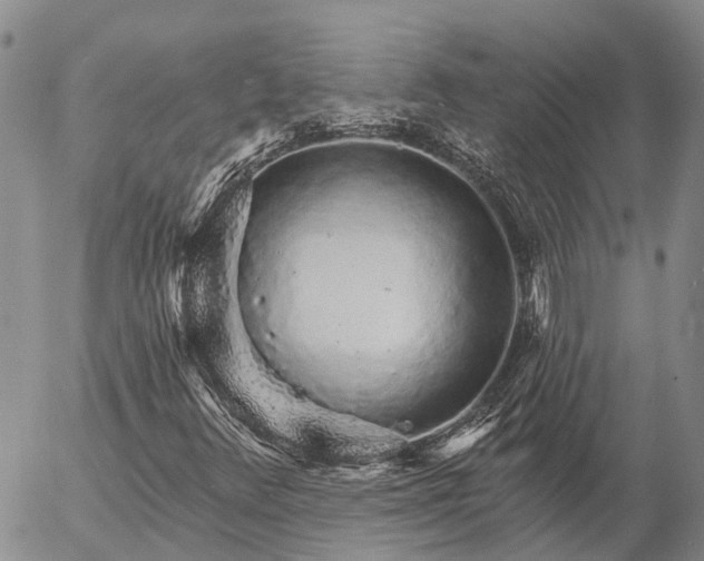 X0000057091348200509161619