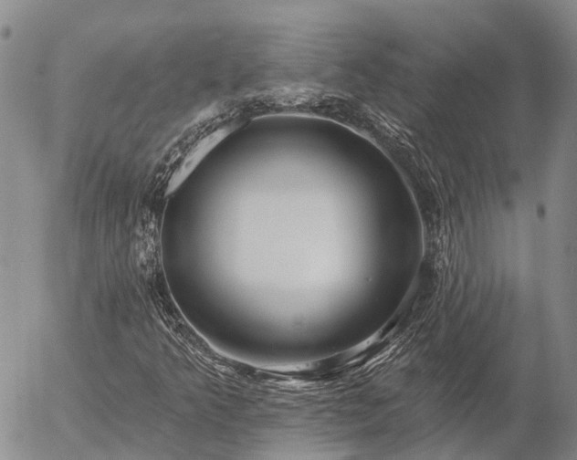 X0000057091349200509161619