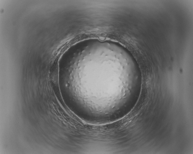 X0000057091350200509161619