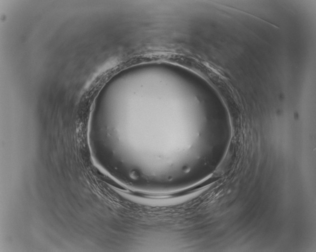 X0000057091351200509161619