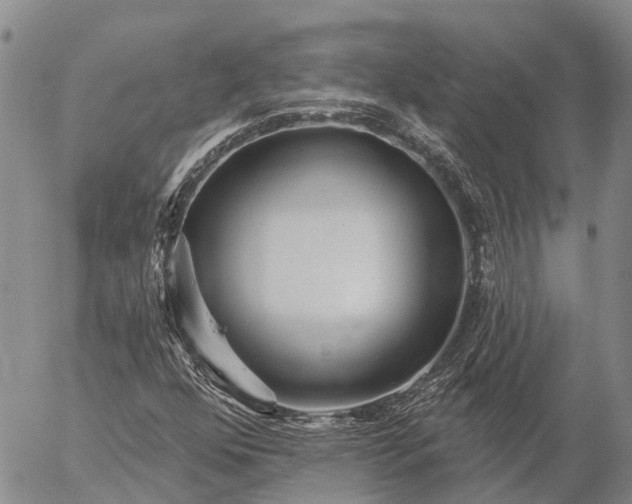 X0000057091352200509161619