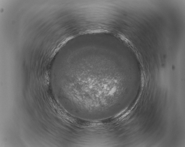 X0000057091353200509161619