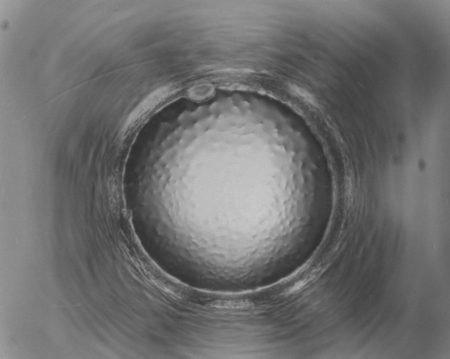 X0000057091354200509161619