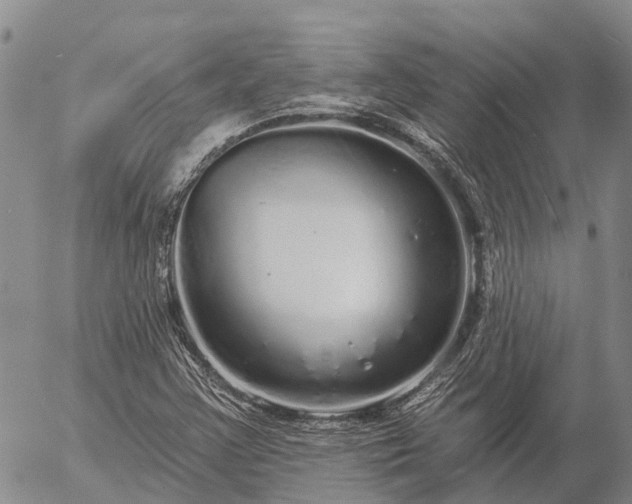 X0000057091355200509161619