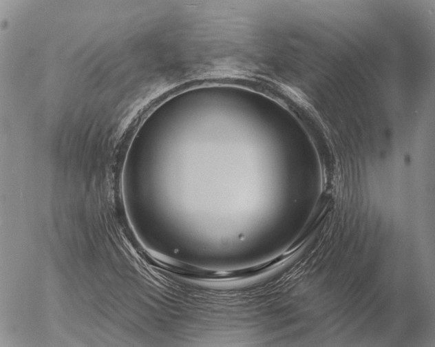 X0000057091356200509161619