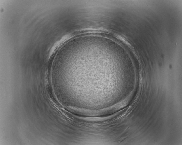 X0000057091357200509161619