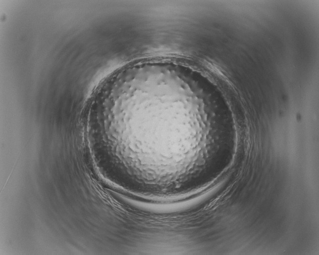 X0000057091358200509161619