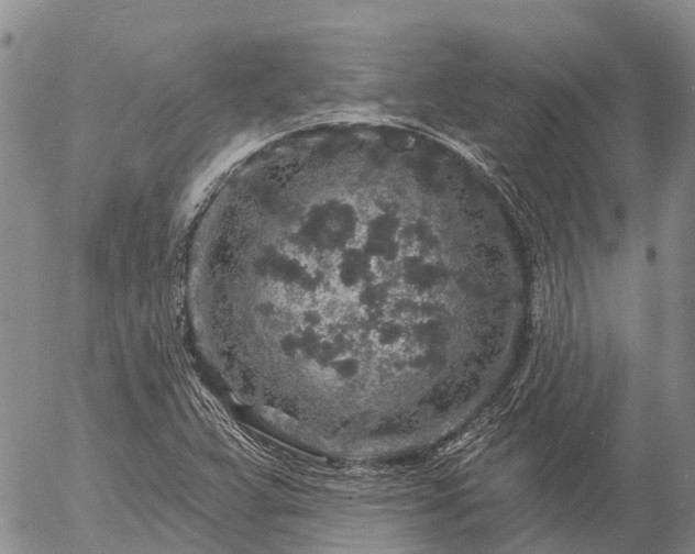 X0000057091359200509161619