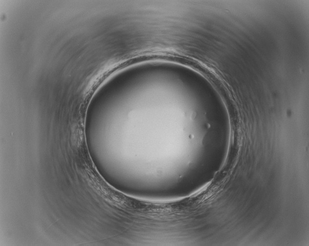 X0000057091363200509161619