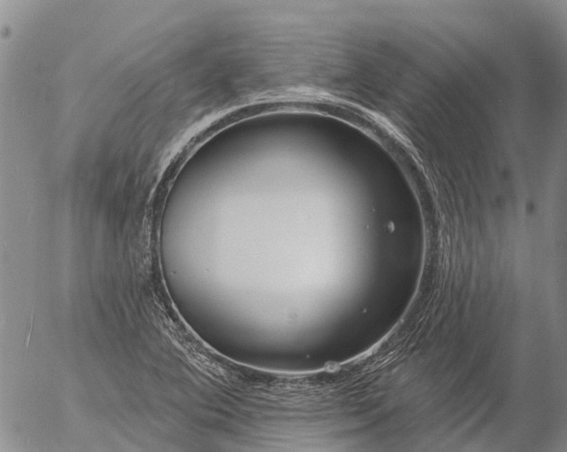 X0000057091364200509161619