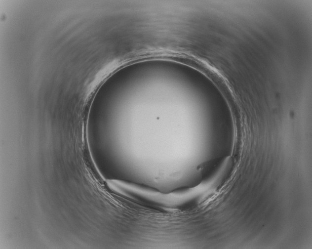 X0000057091365200509161619