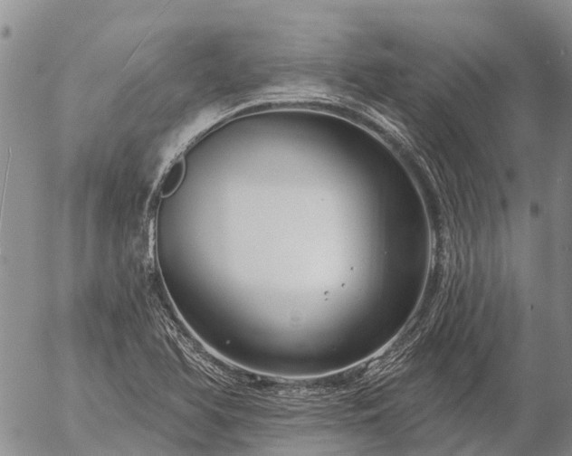 X0000057091366200509161618