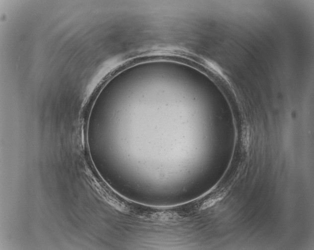 X0000057091368200509161618